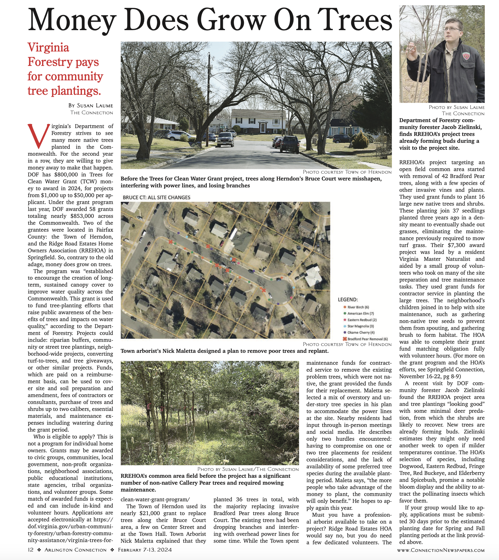 Money Does Grow On Trees article image